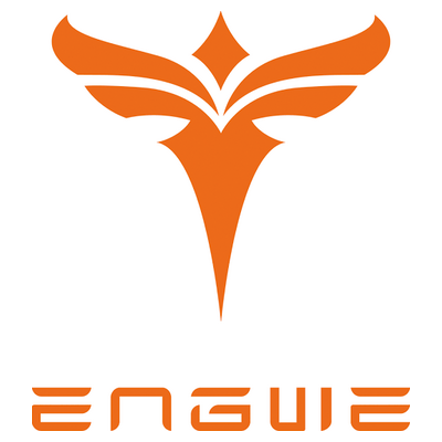 engwe-bikes.com
